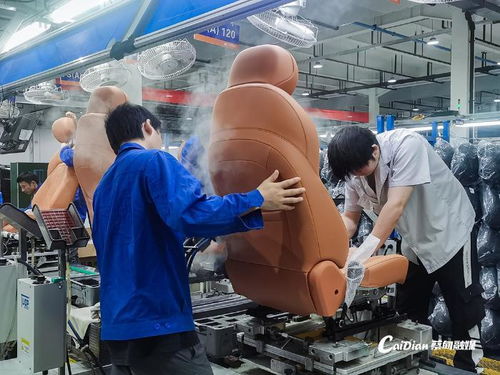 蔡甸智能網(wǎng)聯(lián)汽車零部件產(chǎn)業(yè)再添生力軍